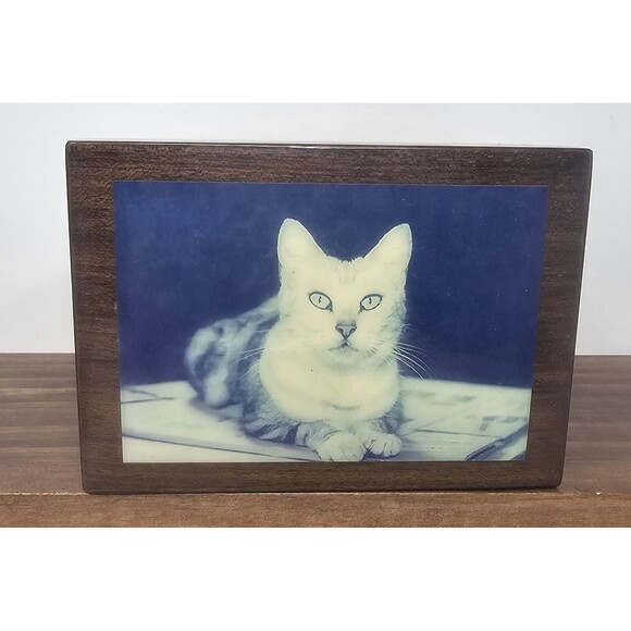 Still Life Tabby Cat Lacquerware Wooden Hinged Trinket Jewelry Box Lined Italy - Picture 14 of 15